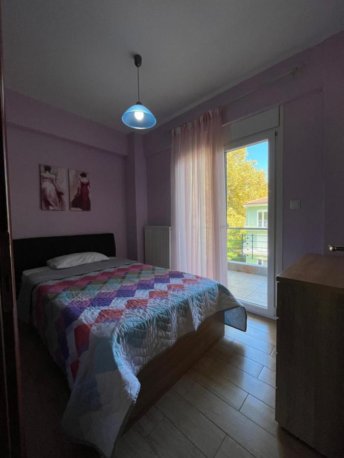 Olympian Two Floor Apartment Leptokaryá Exterior foto